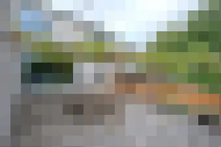 De Wouden 166 Assen thumbnail 41