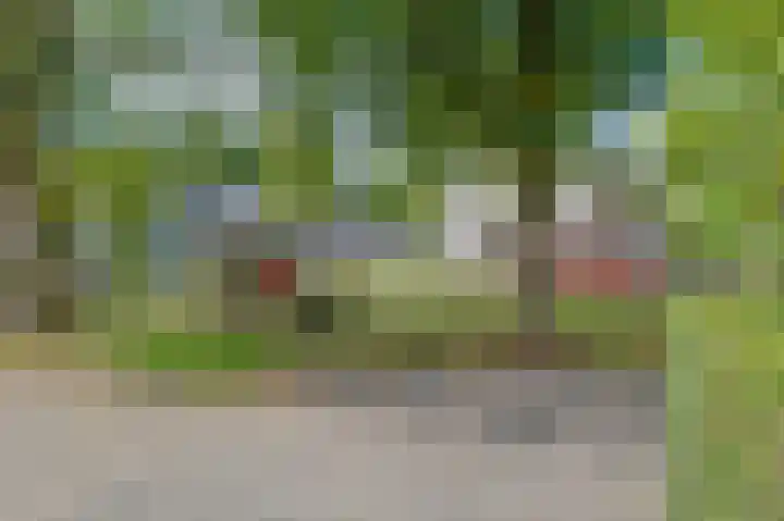 De Wouden 166 Assen thumbnail 42