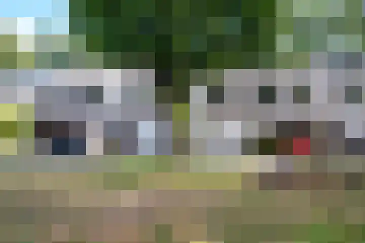 De Wouden 166 Assen thumbnail 43