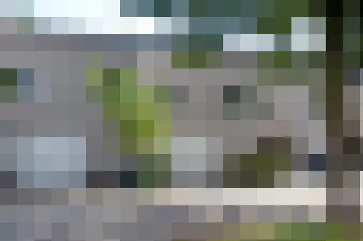 De Wouden 166 Assen thumbnail 45