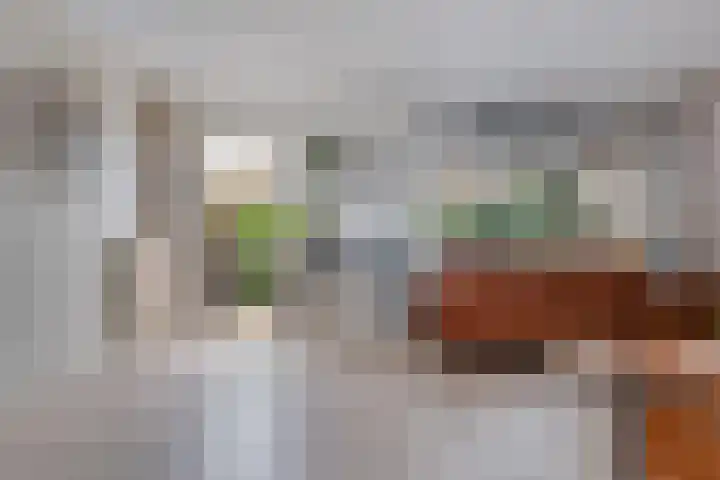 De Wouden 172 Assen thumbnail 10