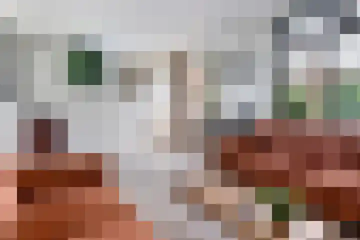 De Wouden 172 Assen thumbnail 12