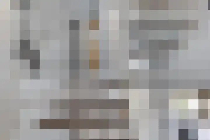 De Wouden 172 Assen thumbnail 15