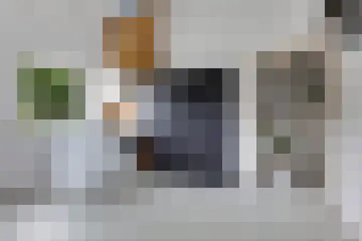 De Wouden 172 Assen thumbnail 22