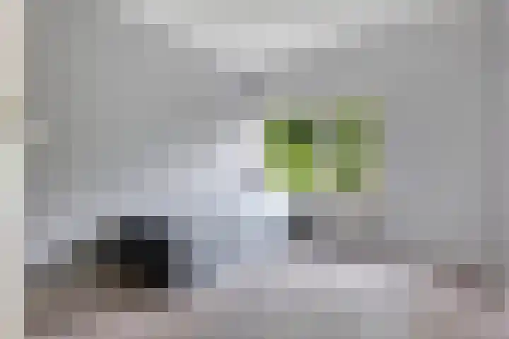 De Wouden 172 Assen thumbnail 26