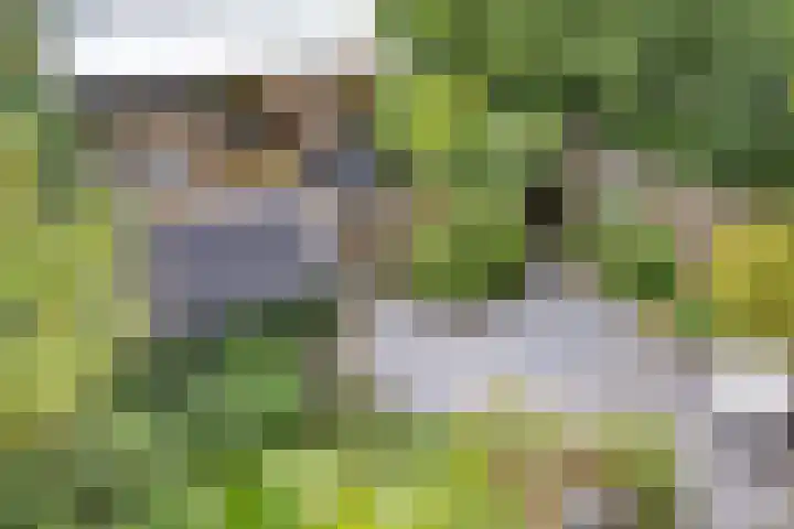 De Wouden 172 Assen thumbnail 33