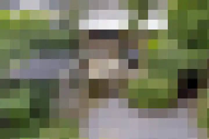 De Wouden 172 Assen thumbnail 34