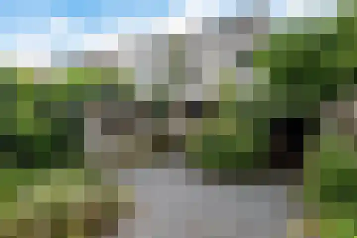 De Wouden 172 Assen thumbnail 35