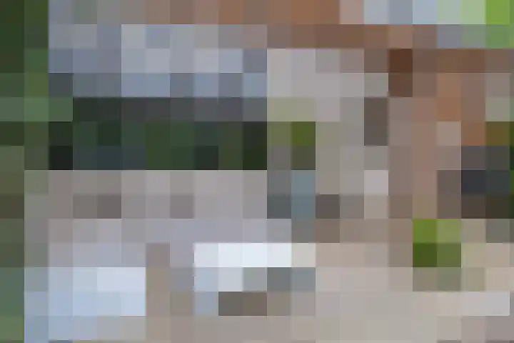 De Wouden 172 Assen thumbnail 36