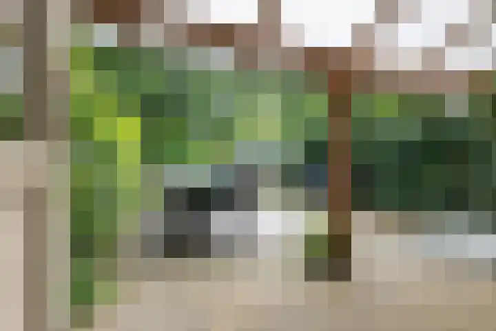 De Wouden 172 Assen thumbnail 37
