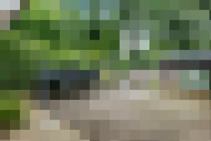 De Wouden 172 Assen thumbnail 38