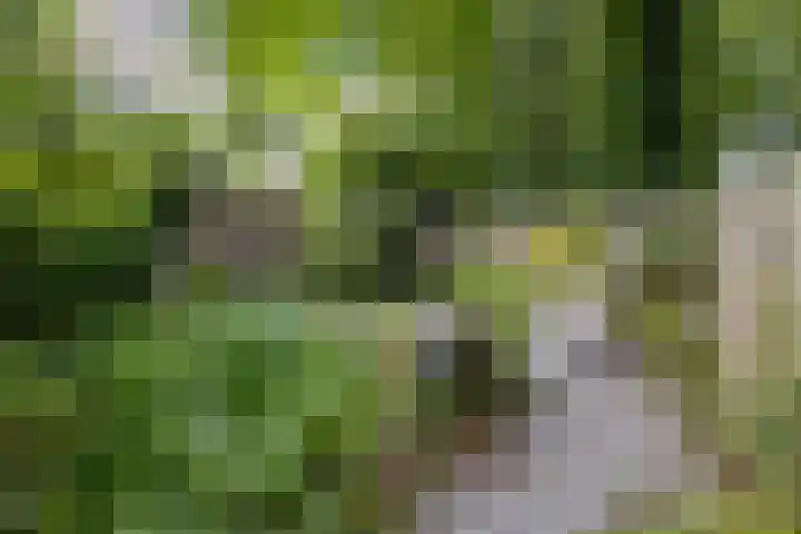 De Wouden 172 Assen thumbnail 39