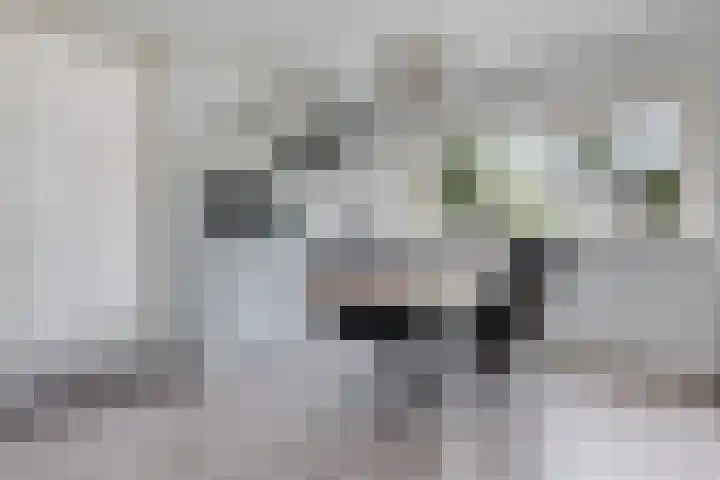 De Wouden 172 Assen thumbnail 4