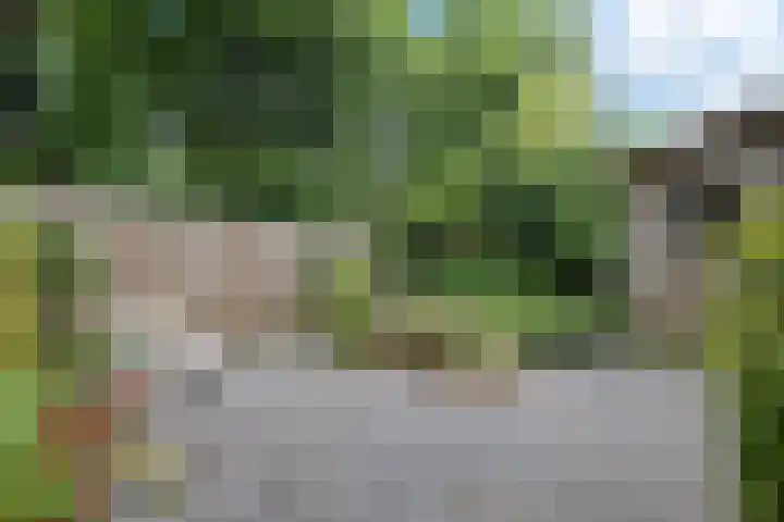 De Wouden 172 Assen thumbnail 40