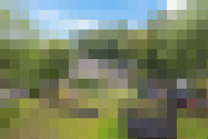 De Wouden 172 Assen thumbnail 43