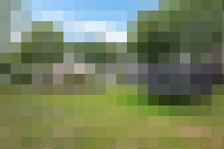 De Wouden 172 Assen thumbnail 44