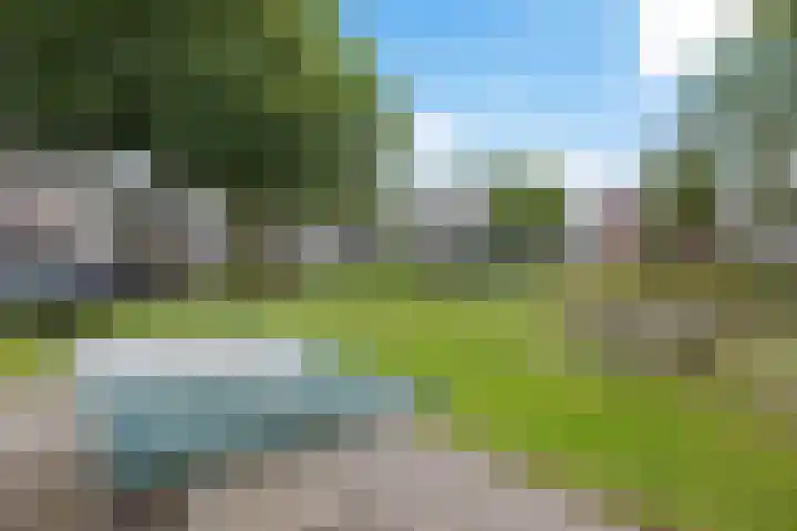 De Wouden 172 Assen thumbnail 45