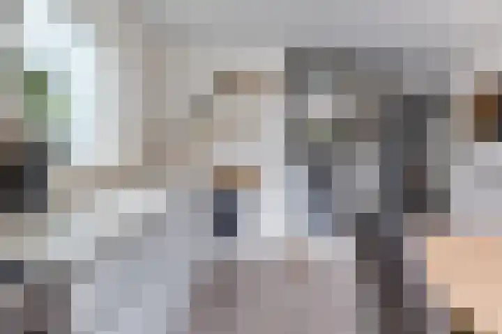 De Wouden 172 Assen thumbnail 6