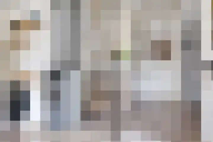 De Wouden 172 Assen thumbnail 8