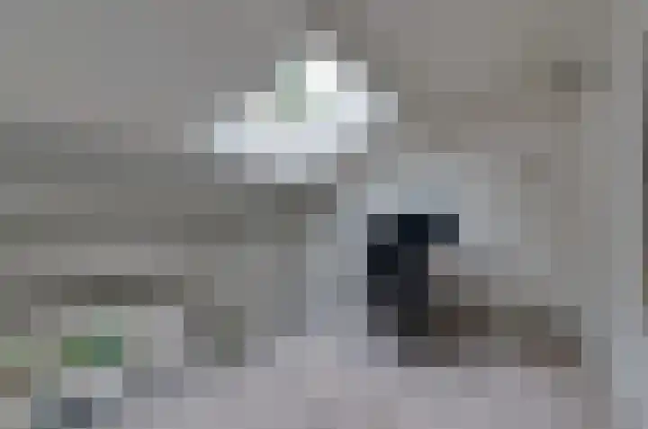 De Wouden 193 Assen thumbnail 19