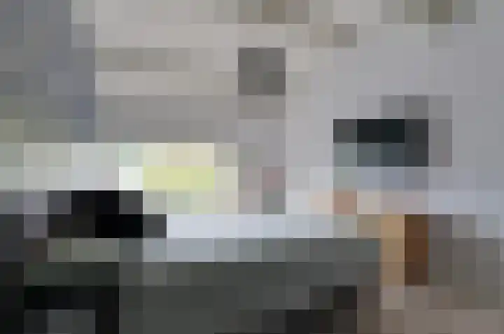 De Wouden 193 Assen thumbnail 26