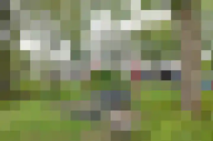 De Wouden 193 Assen thumbnail 29