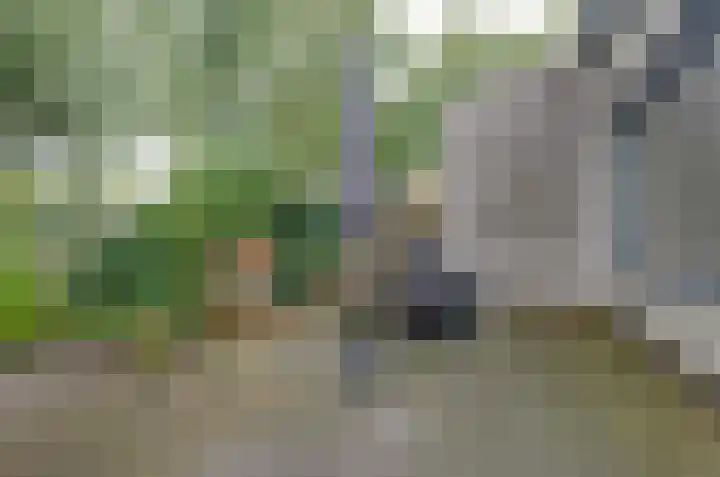 De Wouden 193 Assen thumbnail 4
