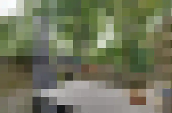 De Wouden 193 Assen thumbnail 5