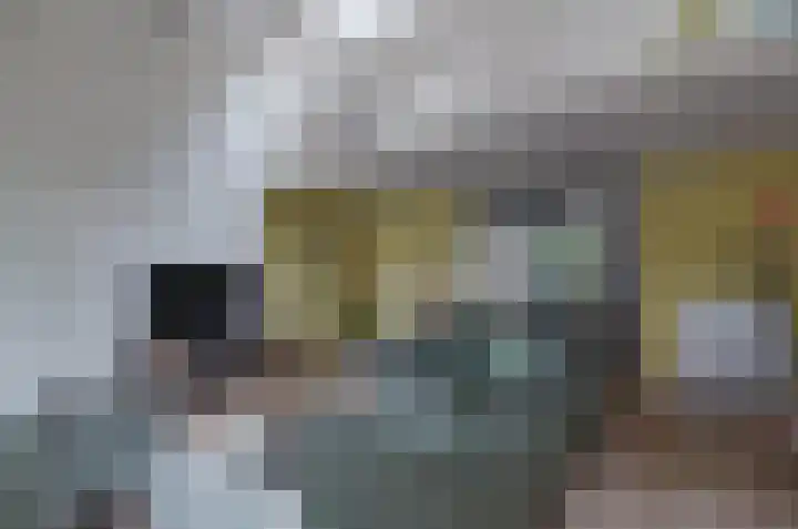De Wouden 193 Assen thumbnail 8