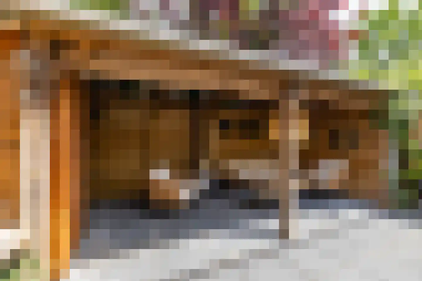 De Wouden 221 Assen thumbnail 29