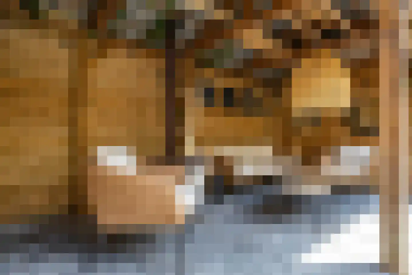 De Wouden 221 Assen thumbnail 30