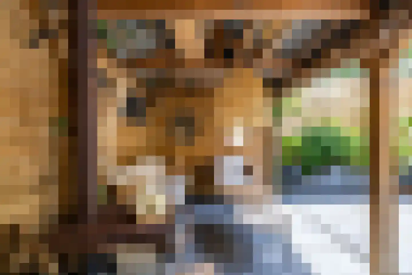 De Wouden 221 Assen thumbnail 31