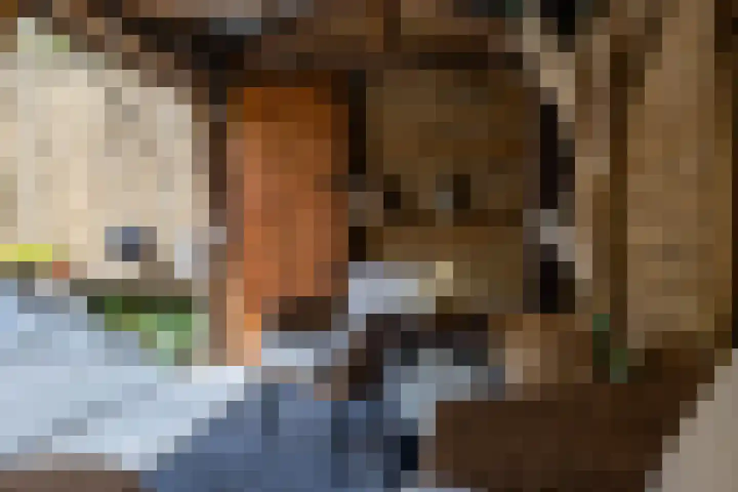 De Wouden 221 Assen thumbnail 33