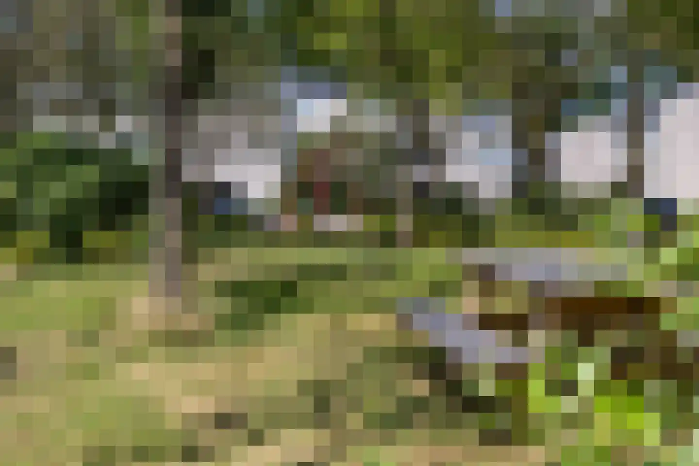De Wouden 221 Assen thumbnail 4