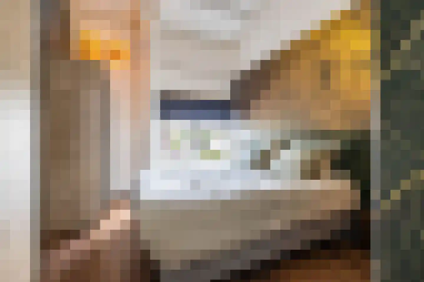 De Wouden 221 Assen thumbnail 46