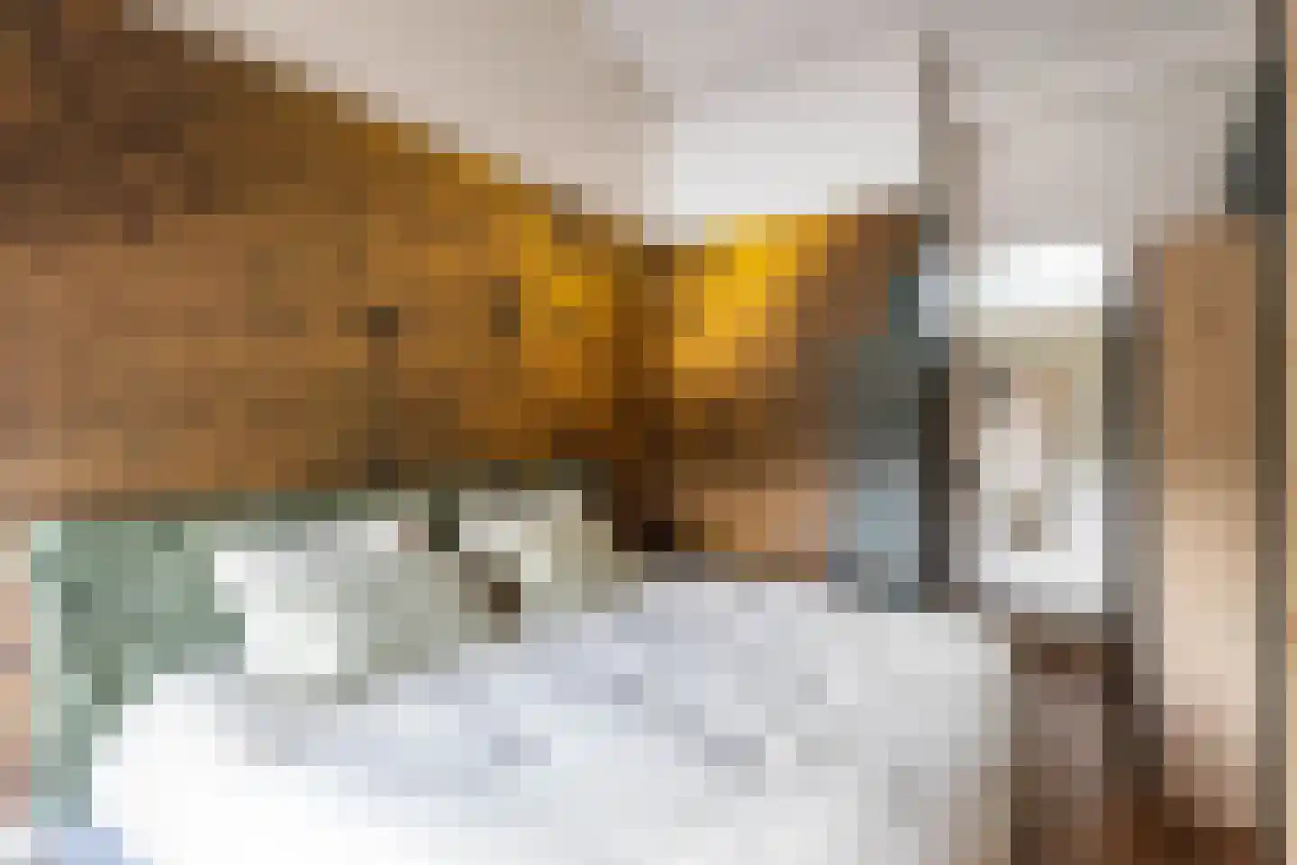 De Wouden 221 Assen thumbnail 47