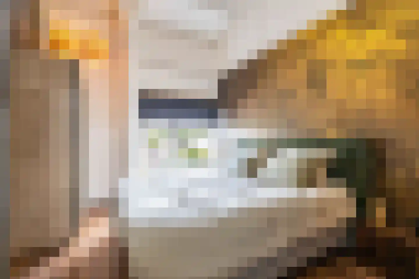 De Wouden 221 Assen thumbnail 48