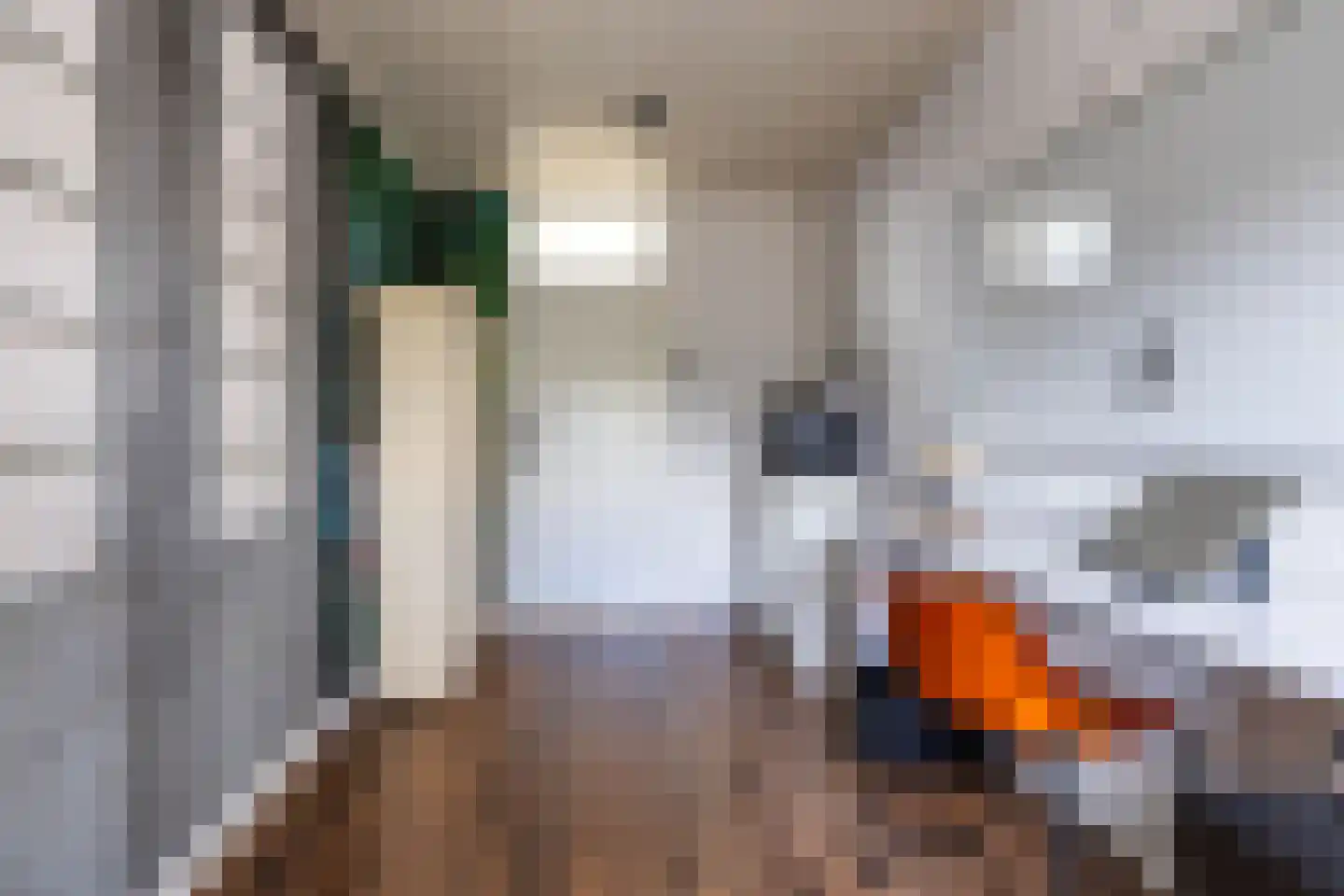 De Wouden 221 Assen thumbnail 51