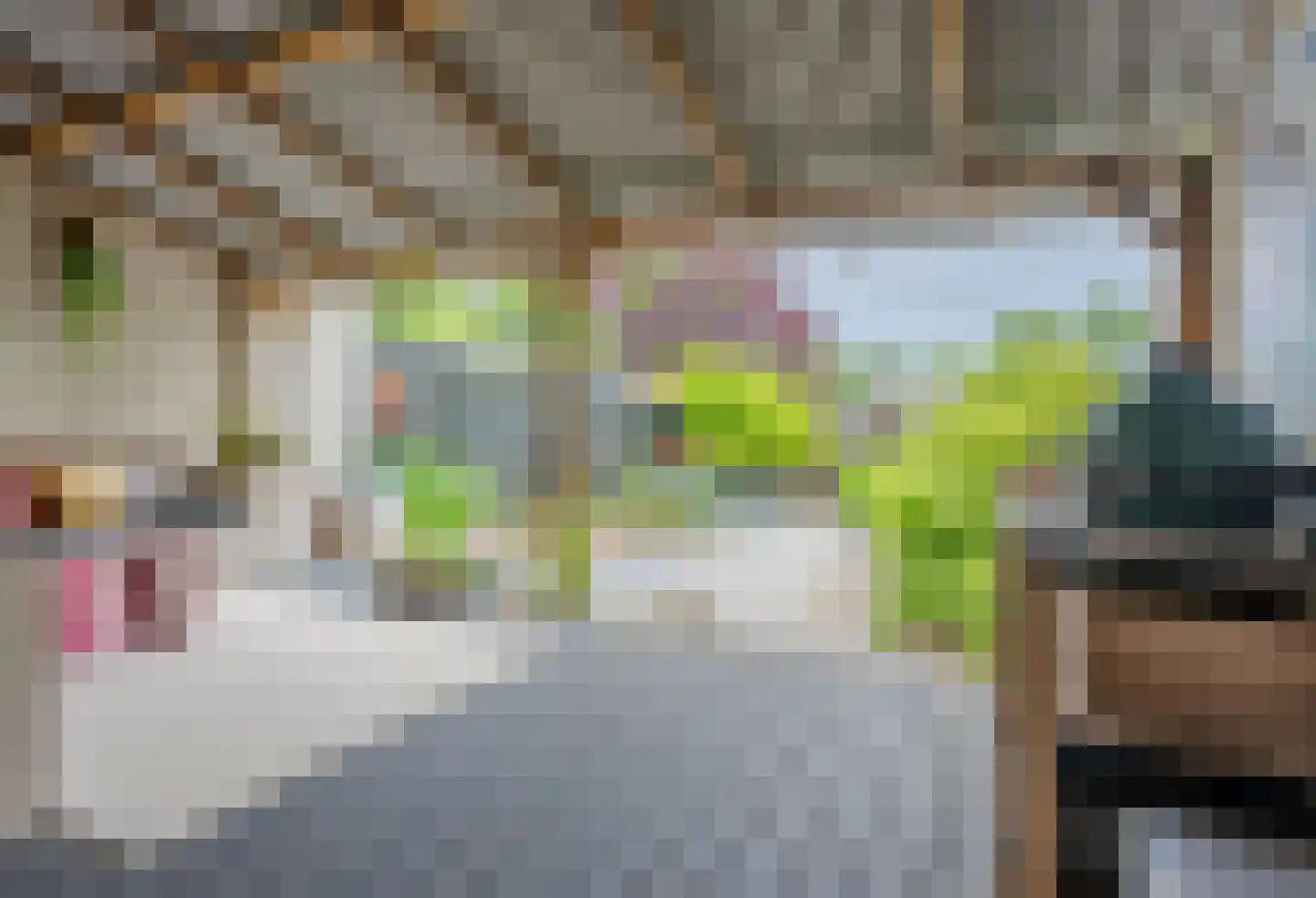 De Wouden 223 Assen thumbnail 18