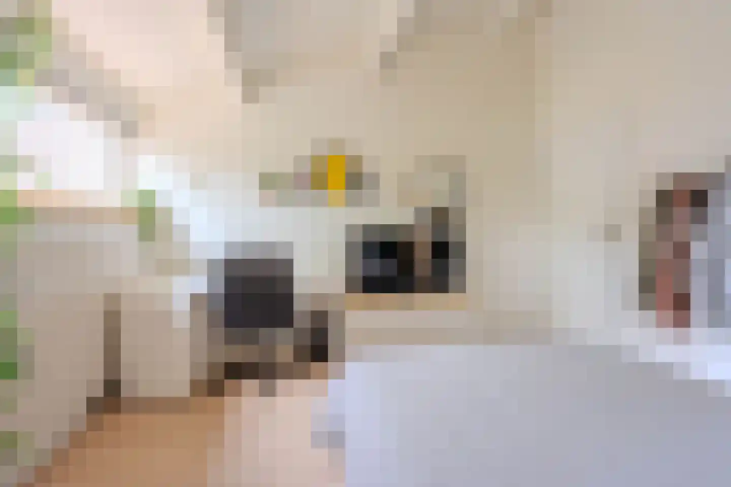De Wouden 223 Assen thumbnail 25