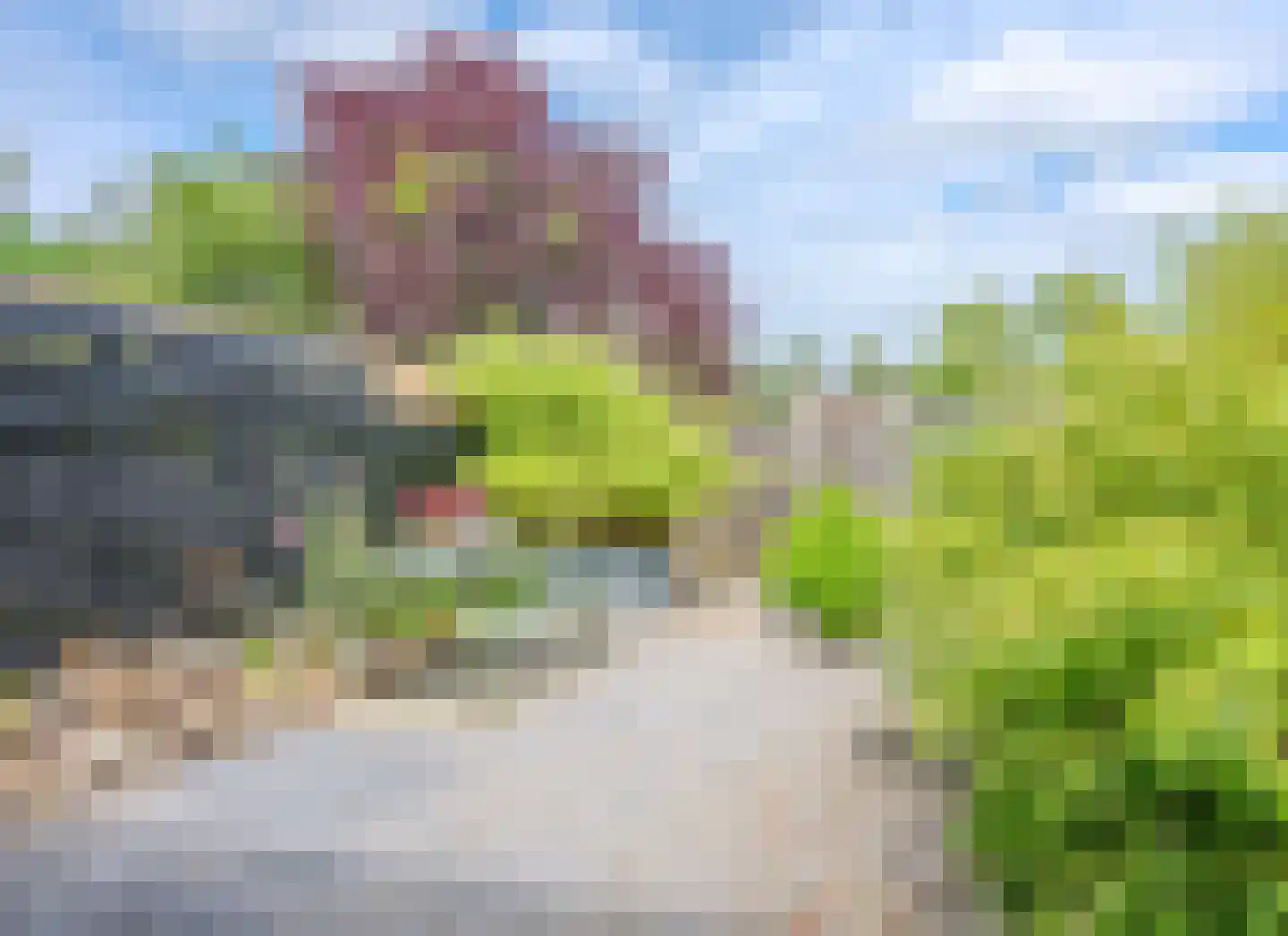 De Wouden 223 Assen thumbnail 33