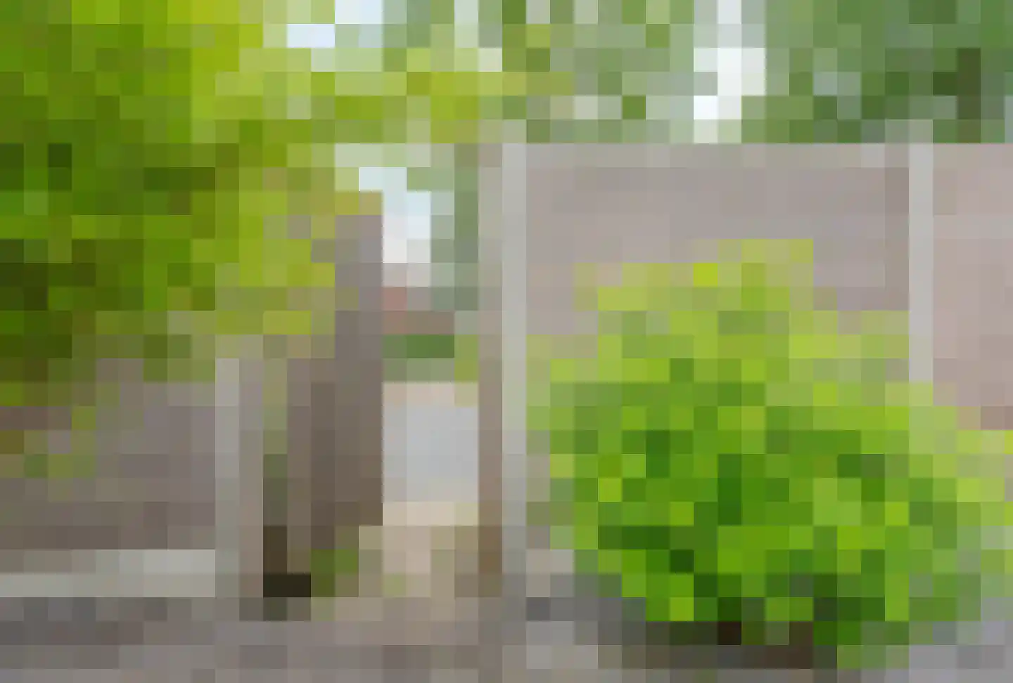 De Wouden 223 Assen thumbnail 34
