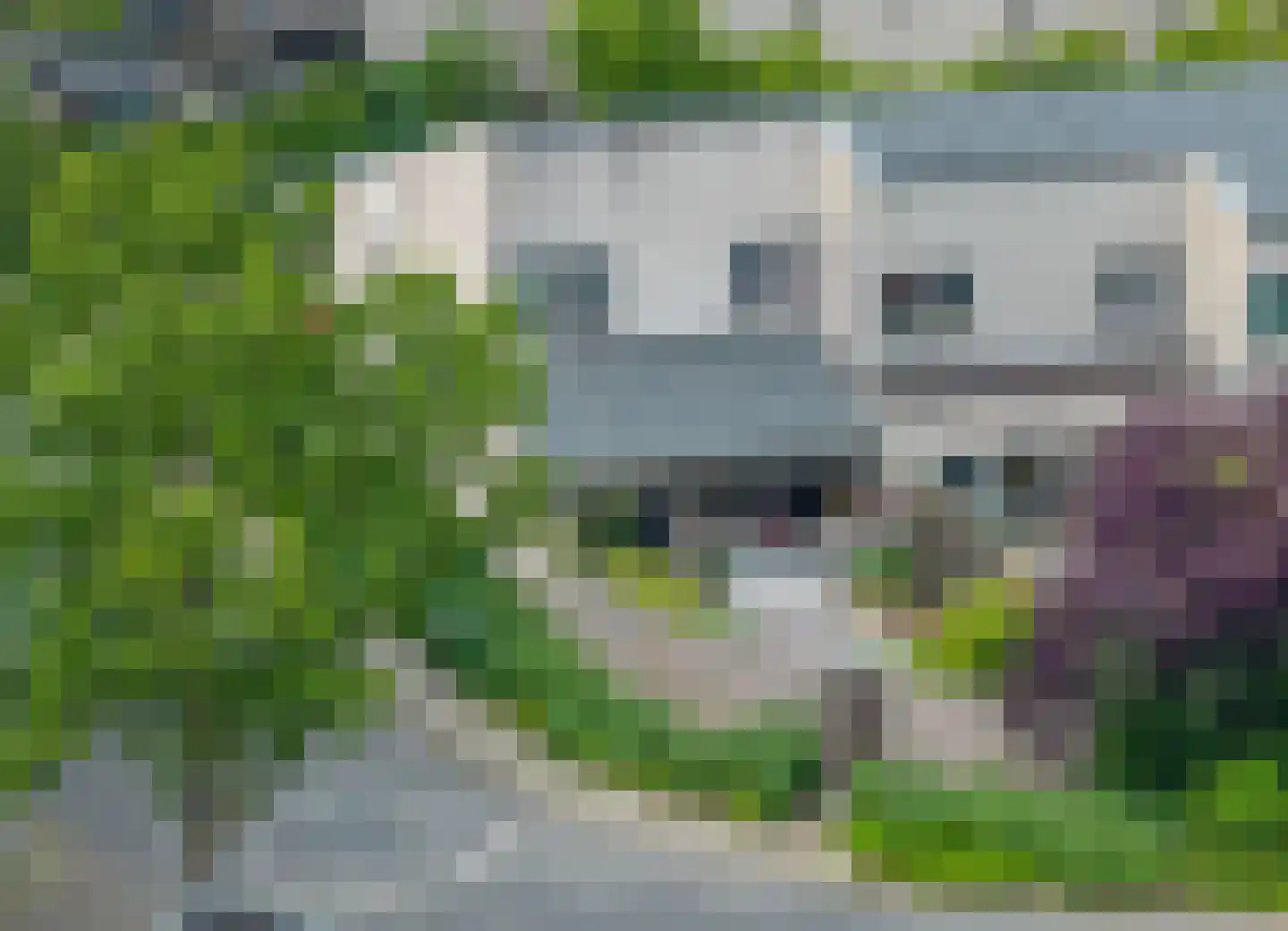 De Wouden 223 Assen thumbnail 35