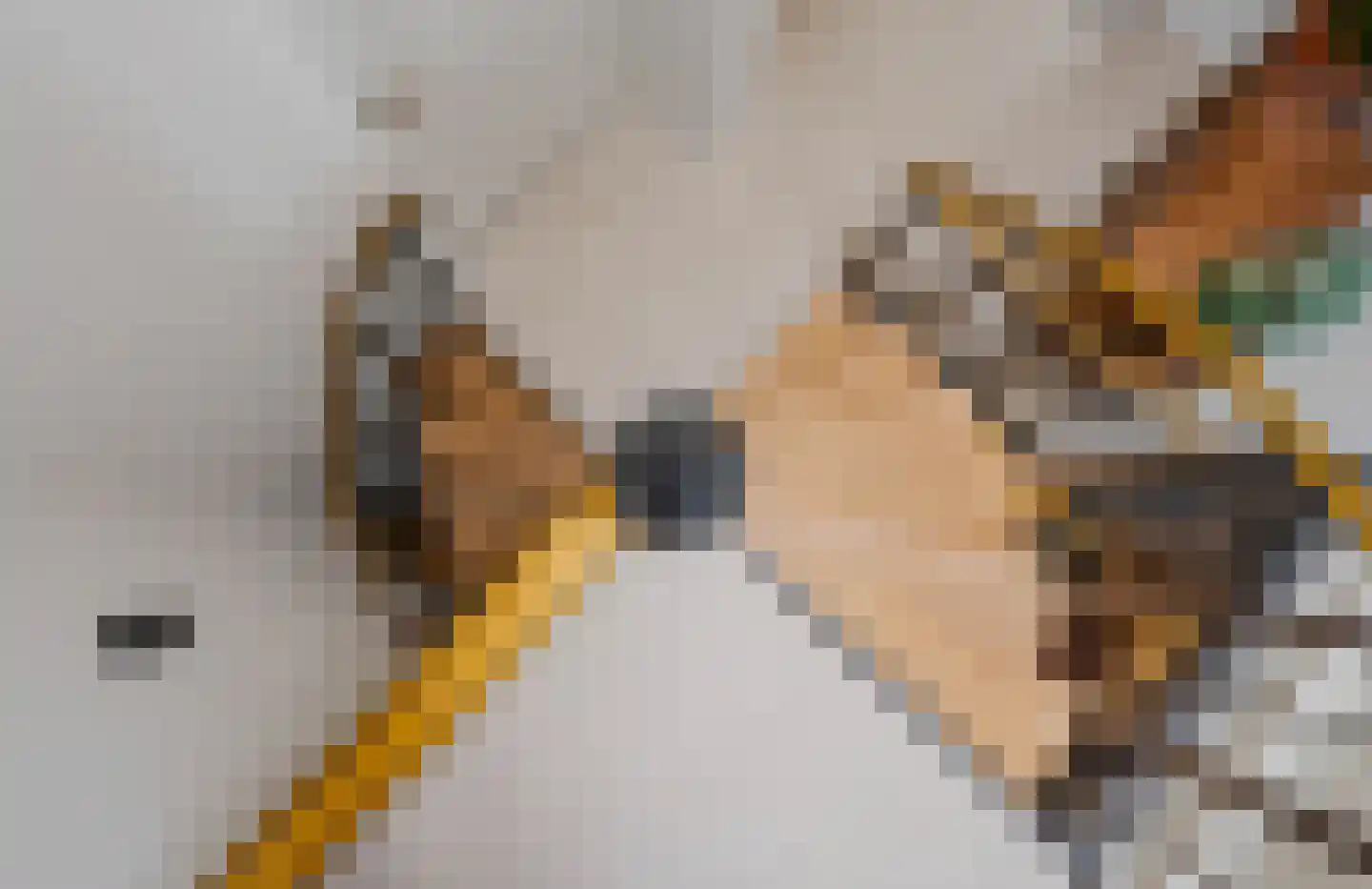 De Wouden 223 Assen thumbnail 5