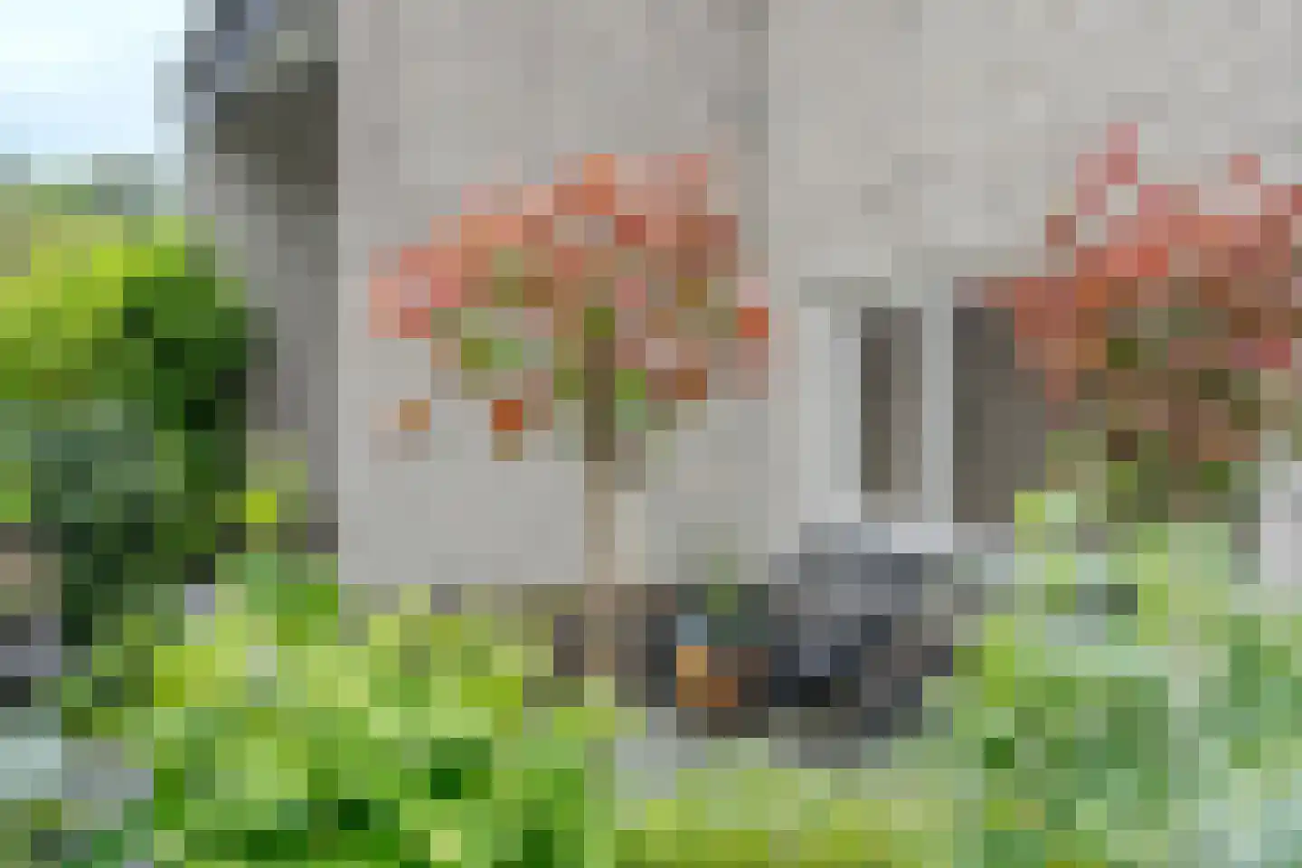 De Wouden 223 Assen thumbnail 9