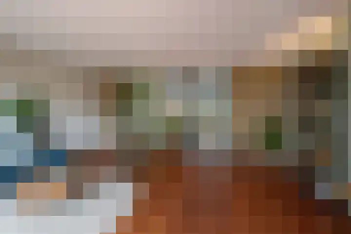 De Wouden 224 Assen thumbnail 10