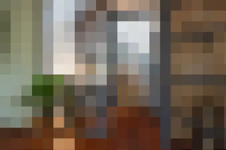 De Wouden 224 Assen thumbnail 14