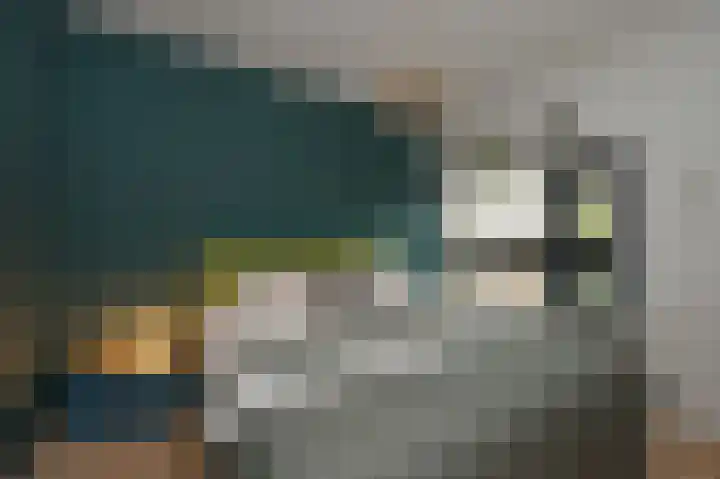 De Wouden 224 Assen thumbnail 33