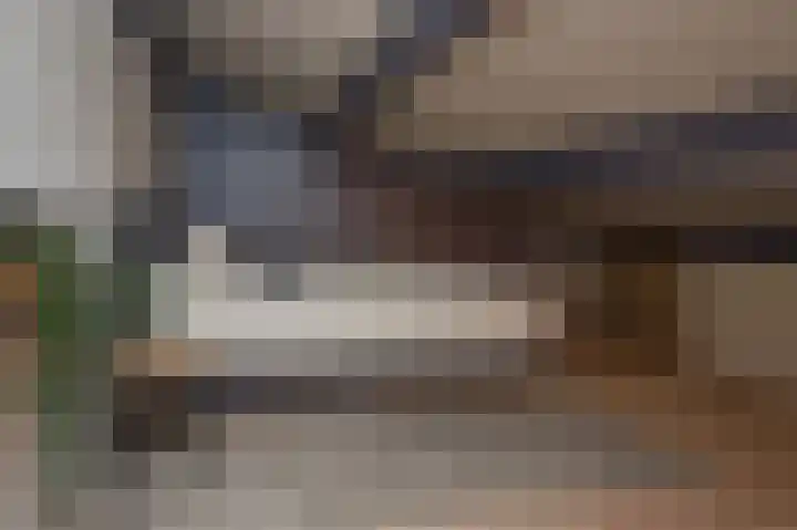 De Wouden 224 Assen thumbnail 42