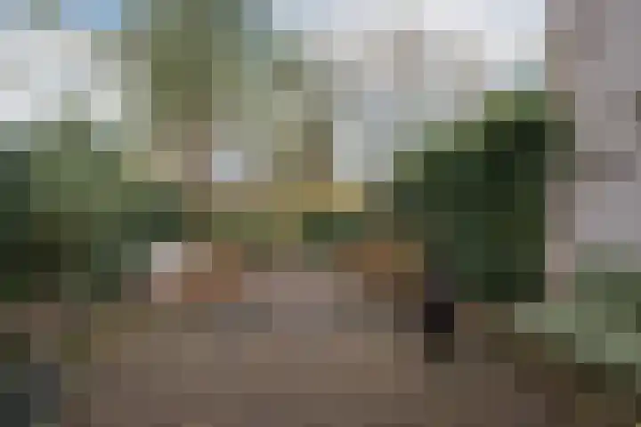 De Wouden 224 Assen thumbnail 51